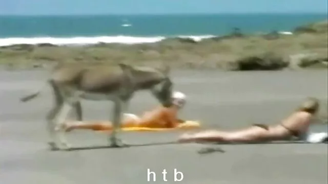 A kanos nagyi segbe srácok mindenütt kedvelik a lányát